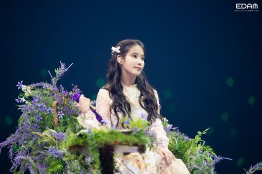 노컷뉴스