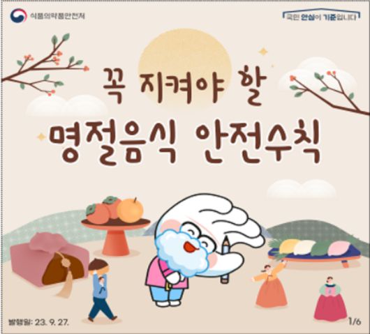 노컷뉴스