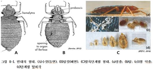 노컷뉴스