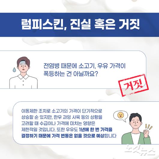 노컷뉴스