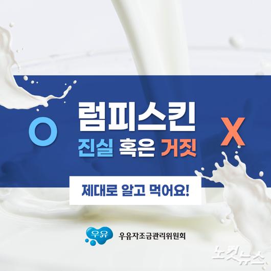 노컷뉴스