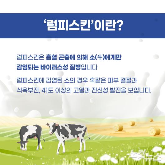 노컷뉴스