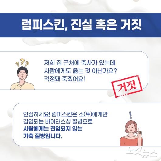 노컷뉴스