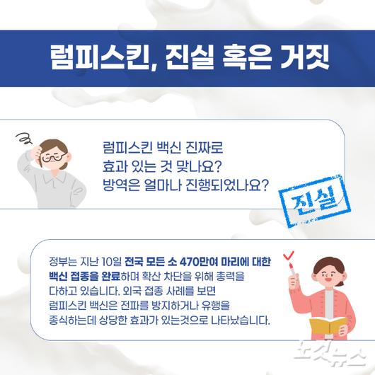 노컷뉴스