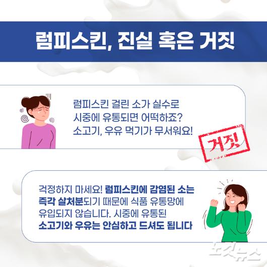 노컷뉴스