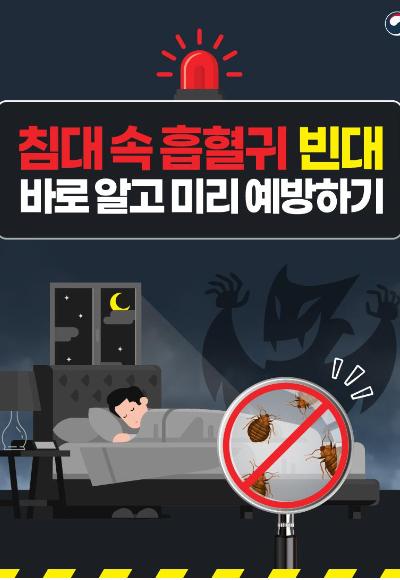 노컷뉴스