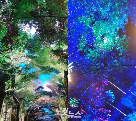 길이 150m에 달하는 오로라. 천장을 찍은 모습이다. 김수정 기자