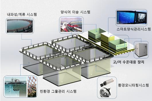 노컷뉴스