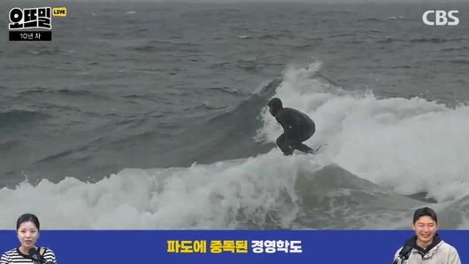 노컷뉴스