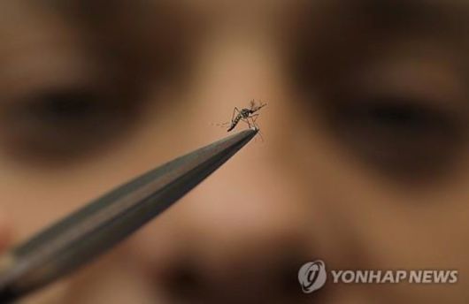 노컷뉴스