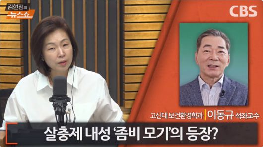 노컷뉴스