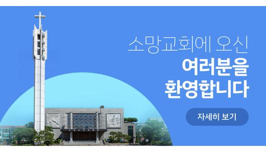 노컷뉴스