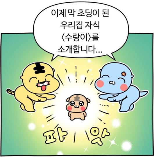 노컷뉴스