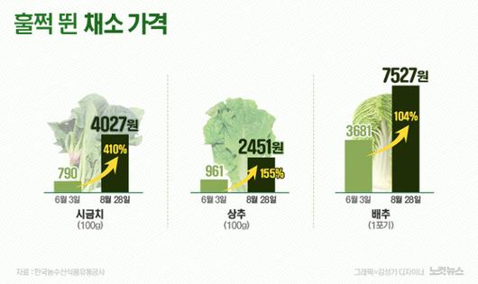 노컷뉴스