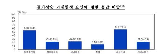 노컷뉴스