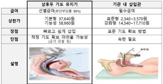 노컷뉴스