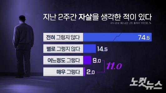 노컷뉴스