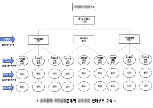 노컷뉴스