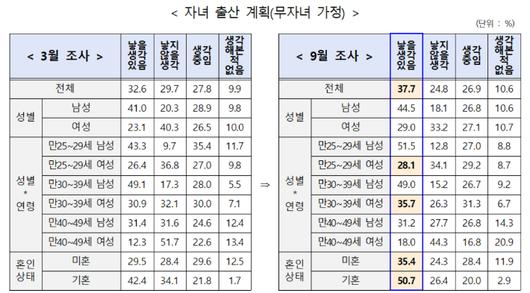 노컷뉴스