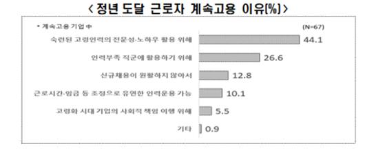 노컷뉴스