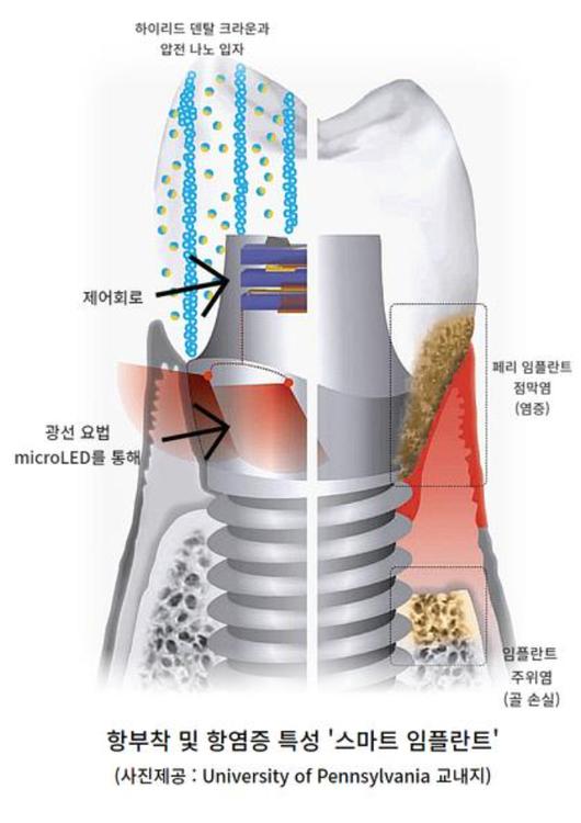 노컷뉴스