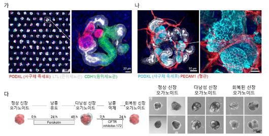 노컷뉴스