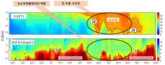 노컷뉴스