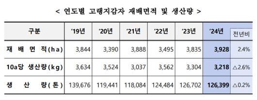 노컷뉴스