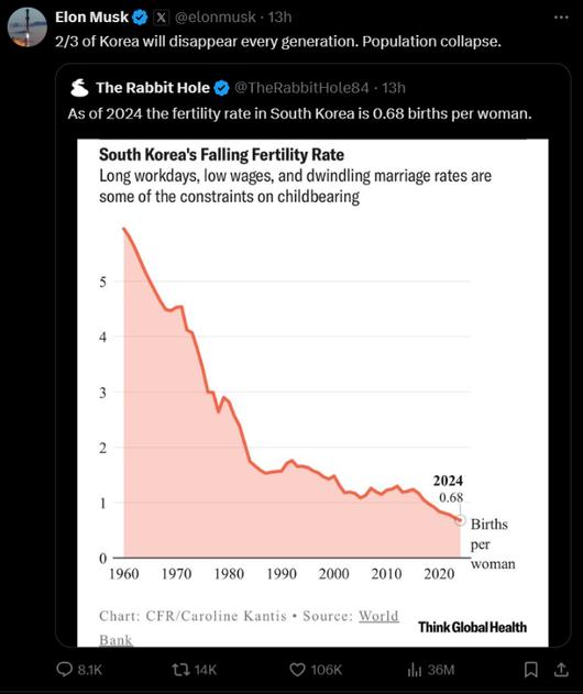 노컷뉴스