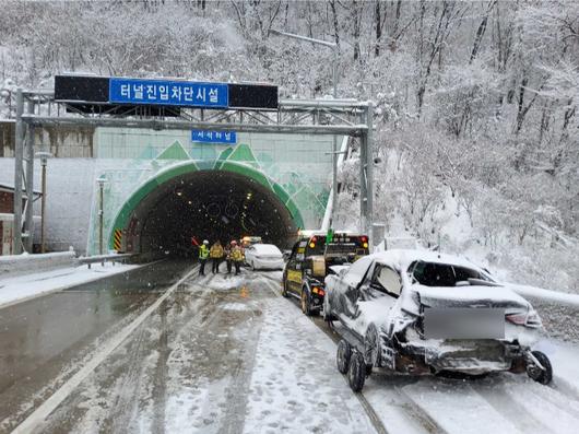 노컷뉴스