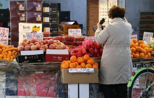 노컷뉴스