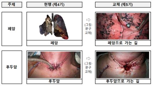 노컷뉴스