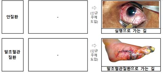 노컷뉴스