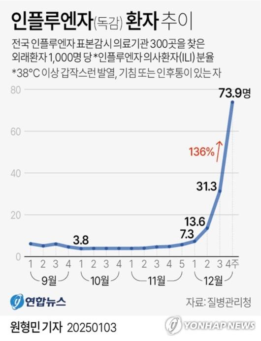 노컷뉴스