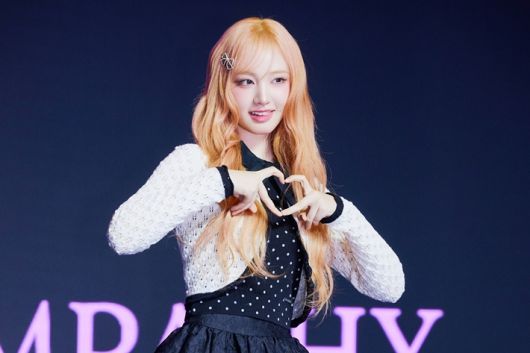 아이브 리즈. 스타쉽엔터테인먼트 제공