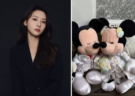 노컷뉴스