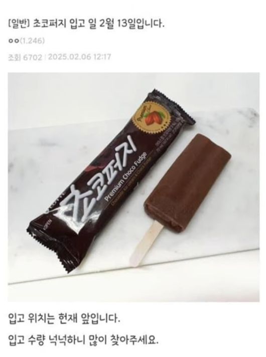 노컷뉴스