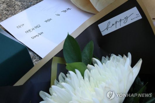 노컷뉴스