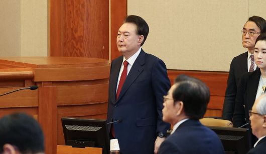 노컷뉴스