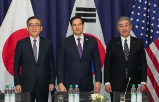 노컷뉴스