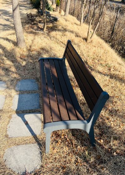 노컷뉴스