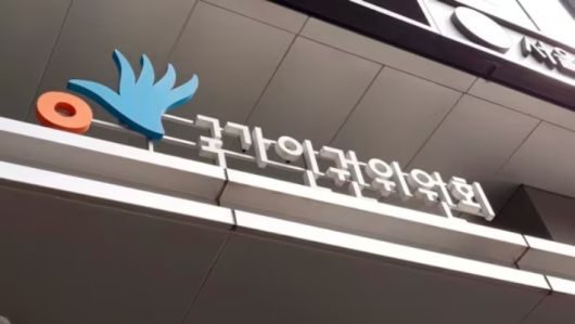 노컷뉴스