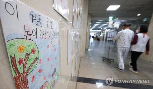 노컷뉴스