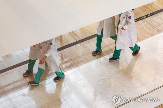 노컷뉴스
