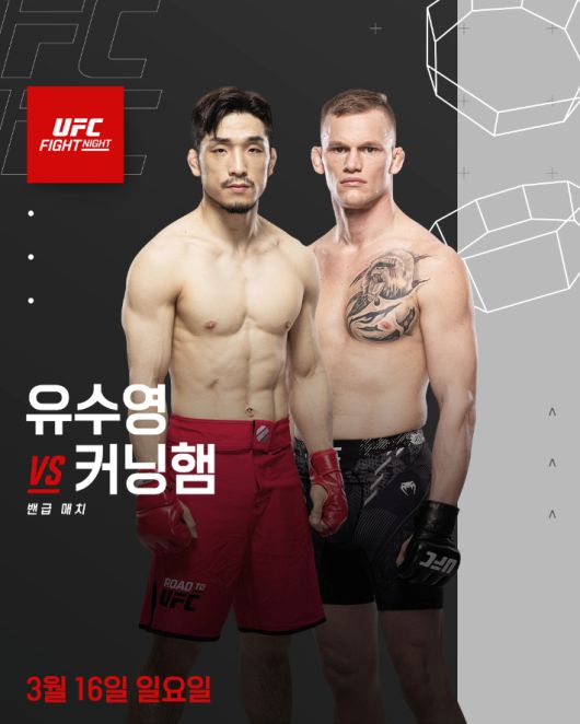 노컷뉴스