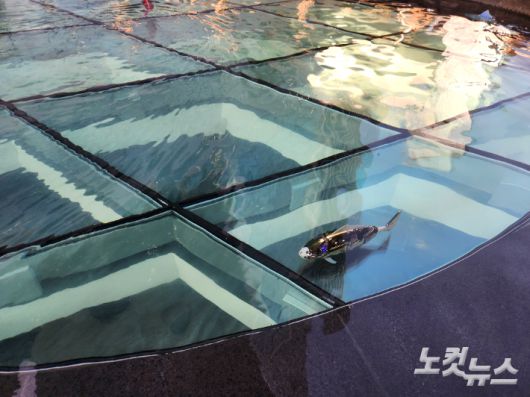 넷마블 G-타워에 조성된 캐릭터 테마파크의 로봇물고기. 박성은 기자