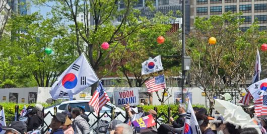 노컷뉴스