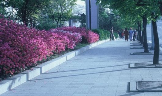 기사와 직접적 관련 없는 사진. 스마트이미지 제공