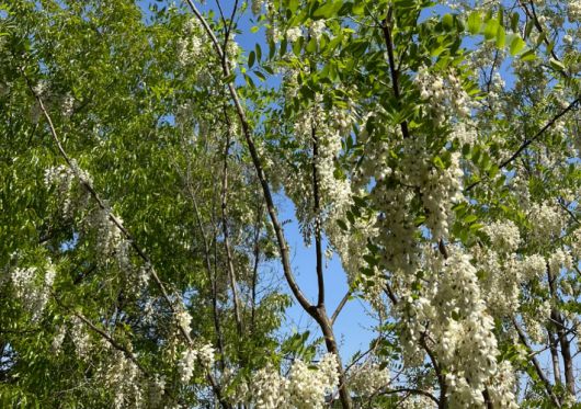 조중의 포항대학교 초빙교수·전직 언론인 제공