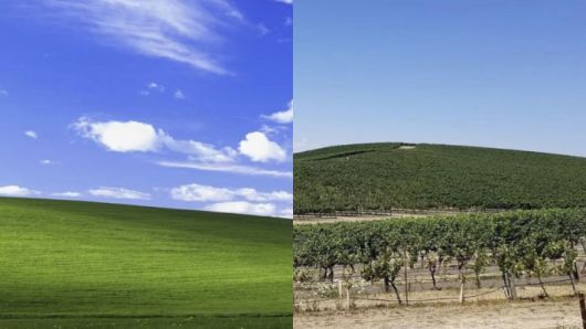 윈도우XP의 배경화면 '블리스'의 모습. 왼쪽이 XP 배경화면, 오른쪽이 포도밭으로 바뀐 언덕의 모습. 데일리메일, insidehistory 인스타그램 캡처